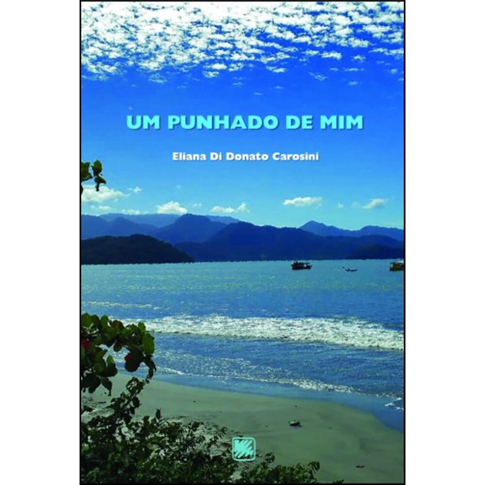 UM PUNHADO DE MIM