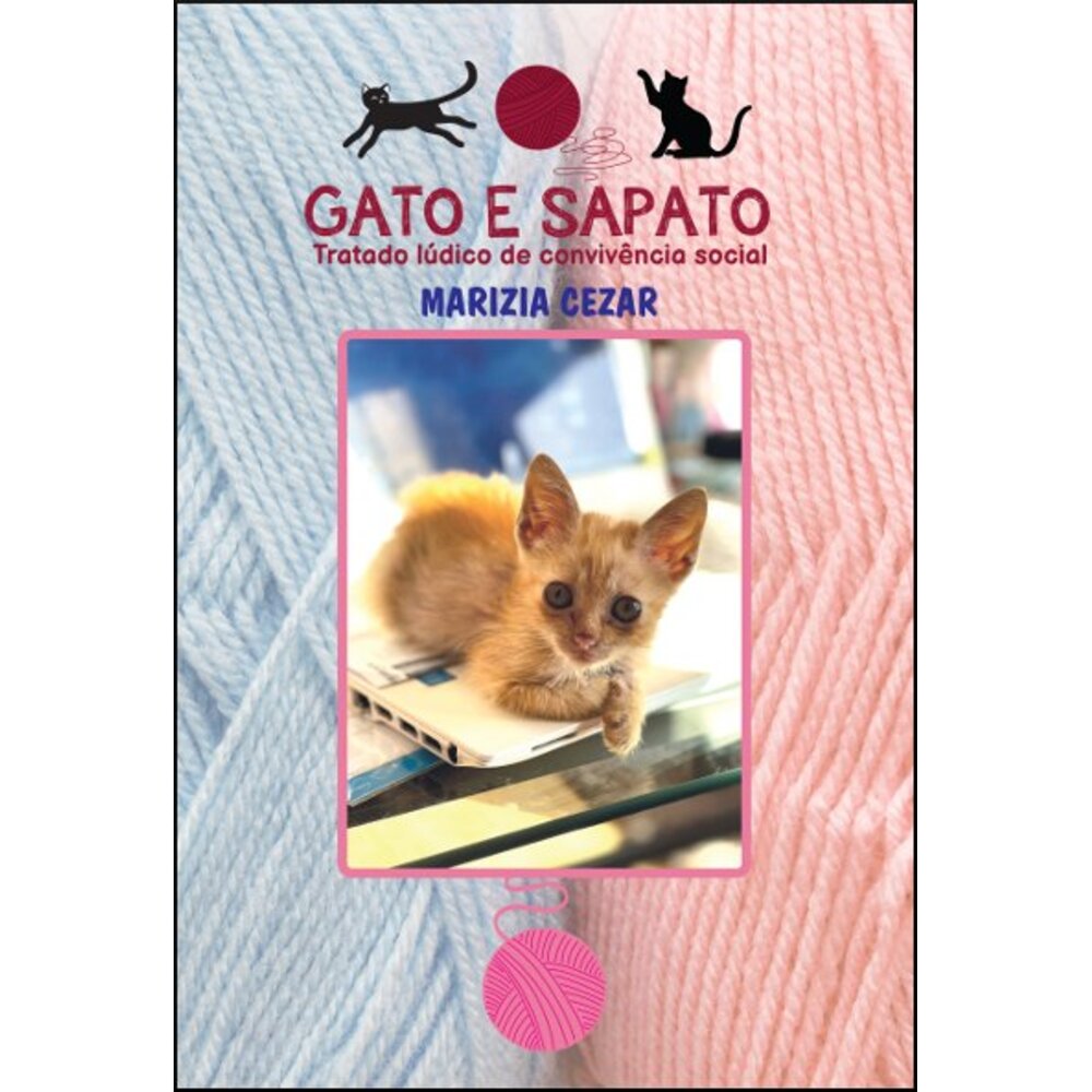 GATO E SAPATO: TRATADO LÚDICO DE CONVIVÊNCIA SOCIAL