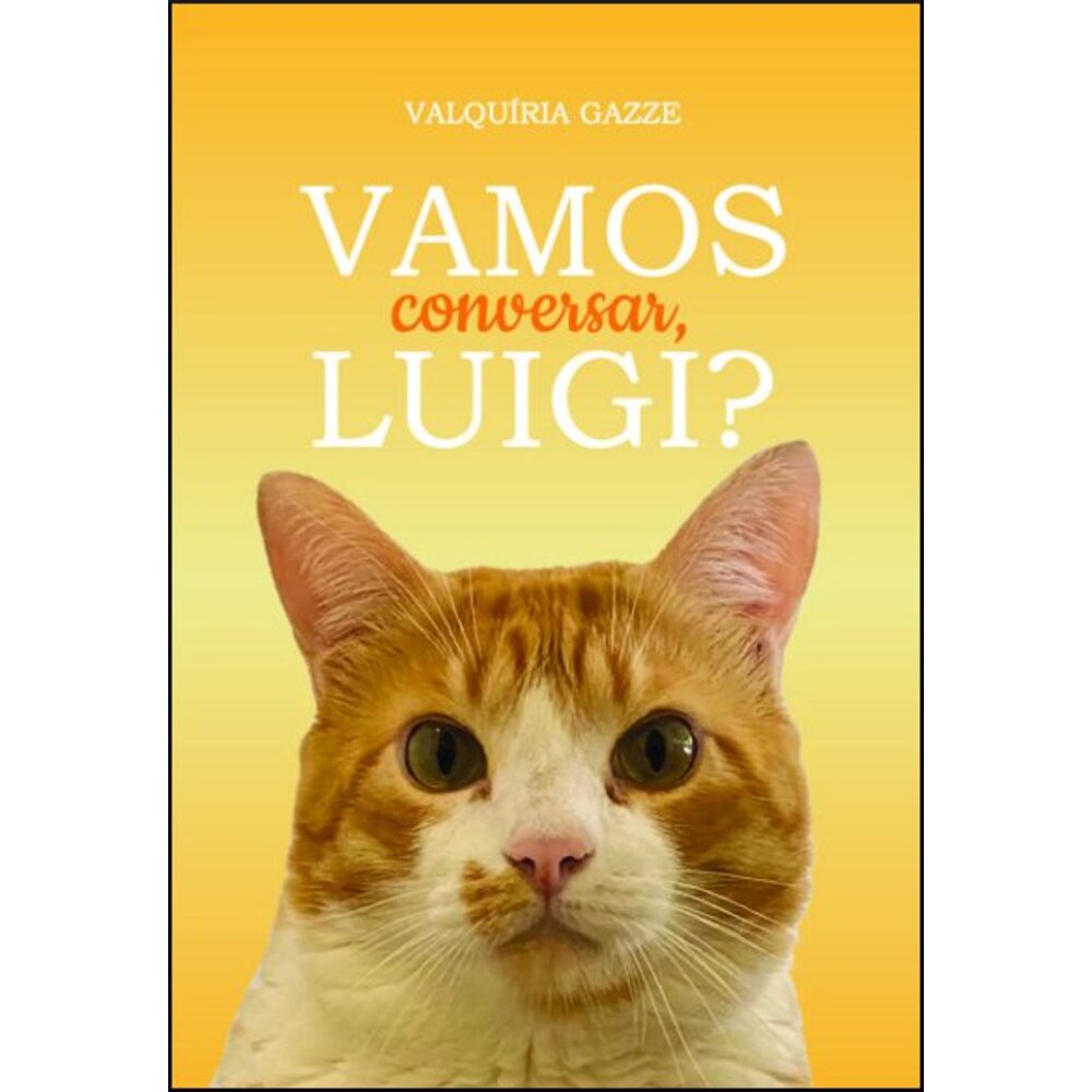 VAMOS CONVERSAR, LUIGI?
