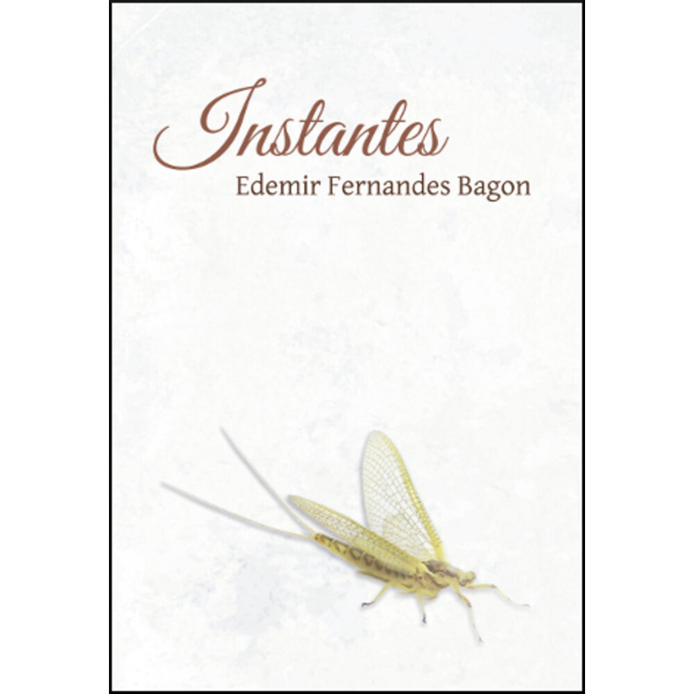 INSTANTES
