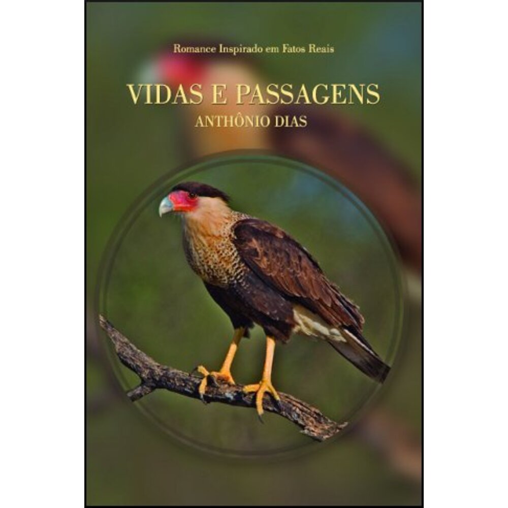 VIDAS E PASSAGENS