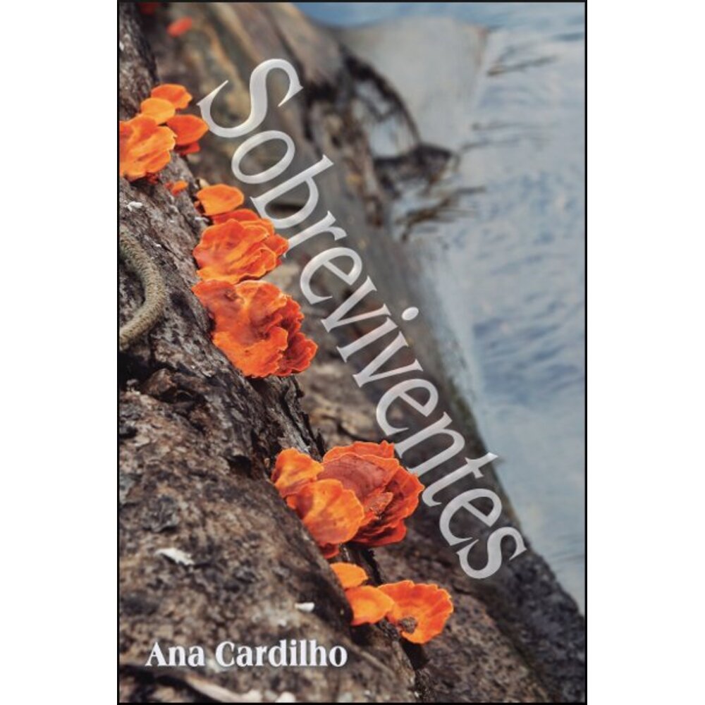 SOBREVIVENTES